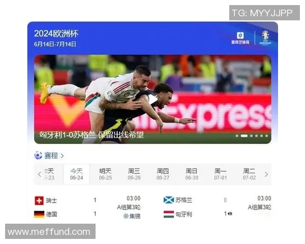 欧洲杯赛事安全管理及突发事件应对